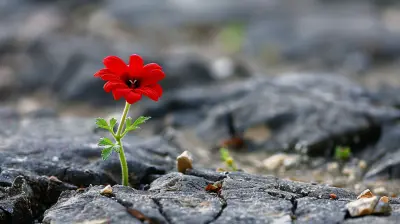 From the Brink of Defeat to Victory: A Story of Resilience