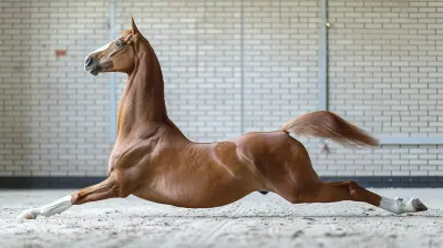Stretching for Equestrians: Improve Your Riding Posture
