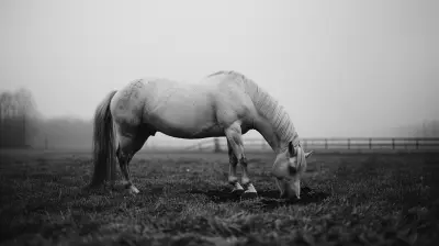 Stretching for Equestrians: Improve Your Riding Posture