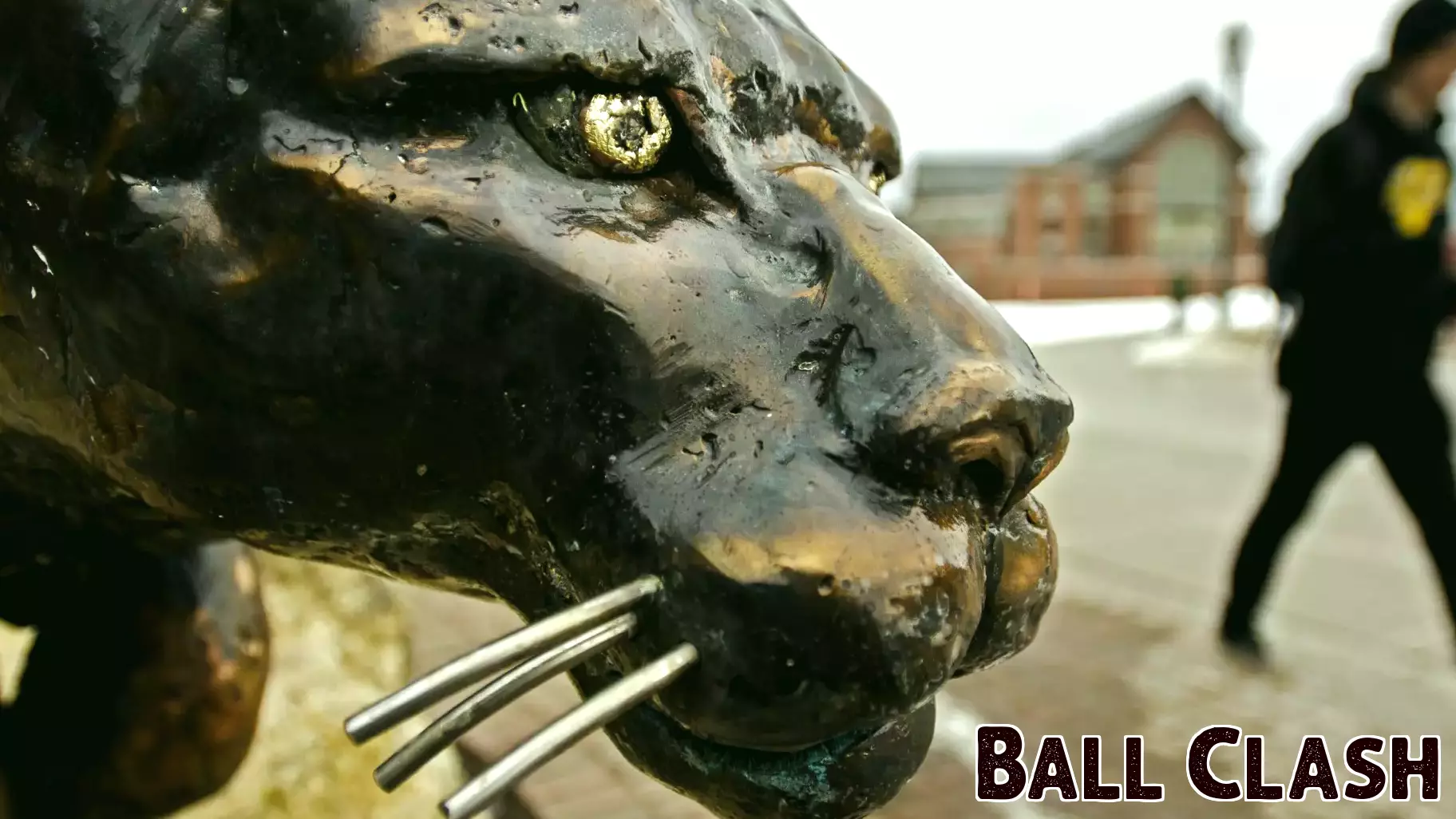 UVM Embraces a Unique Mascot: The Catamount