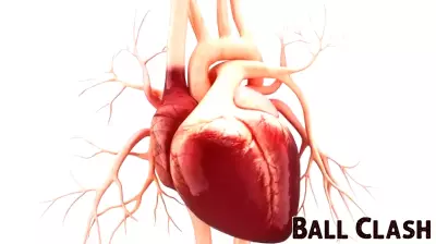 New Insights on Athletes with Heart Conditions and Competitive Sports Participation